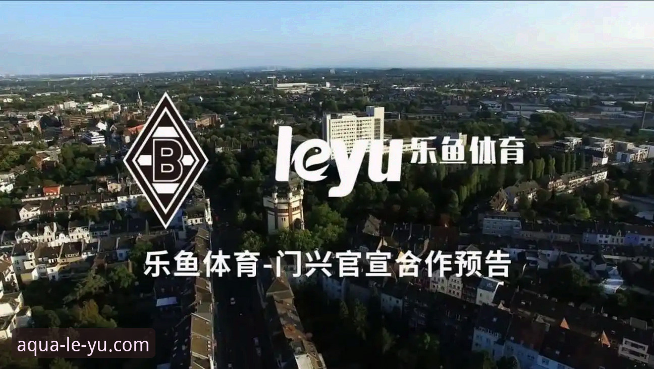 乐鱼体育功能安装失败 乐鱼体育功能安装失败问题排查与解决指南